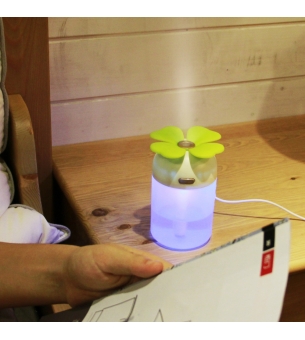 CO-145 USB Flower pot LED humidifier